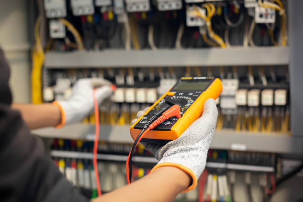 Best Electrical Panel Upgrades  in Faribault, MN